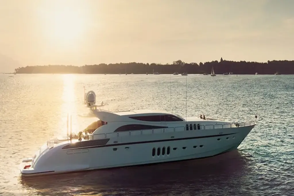 Leopard, photo 2 of 17